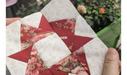 蘑菇吃瓜爆料最新消息,娱乐圈最新动态大揭秘！