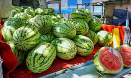 安徽吃瓜爆料事件真相,揭秘背后真相与争议